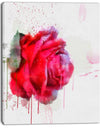 Watercolor Red Rose Illustration - Floral Canvas Artwork Print