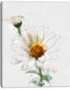 Hand-drawn Watercolor Chamomile - Floral Canvas Artwork Print