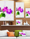 Stem of Convolvulus Flower Drawing - Floral Canvas Artwork Print