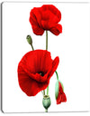 Red Poppies on White Background - Floral Canvas Artwork Print