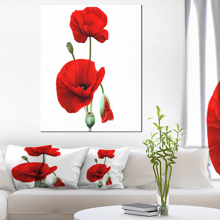 Red Poppies on White Background - Floral Canvas Artwork Print