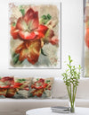 Bunch of Amaryllis Flowers Drawing - Floral Canvas Artwork Print