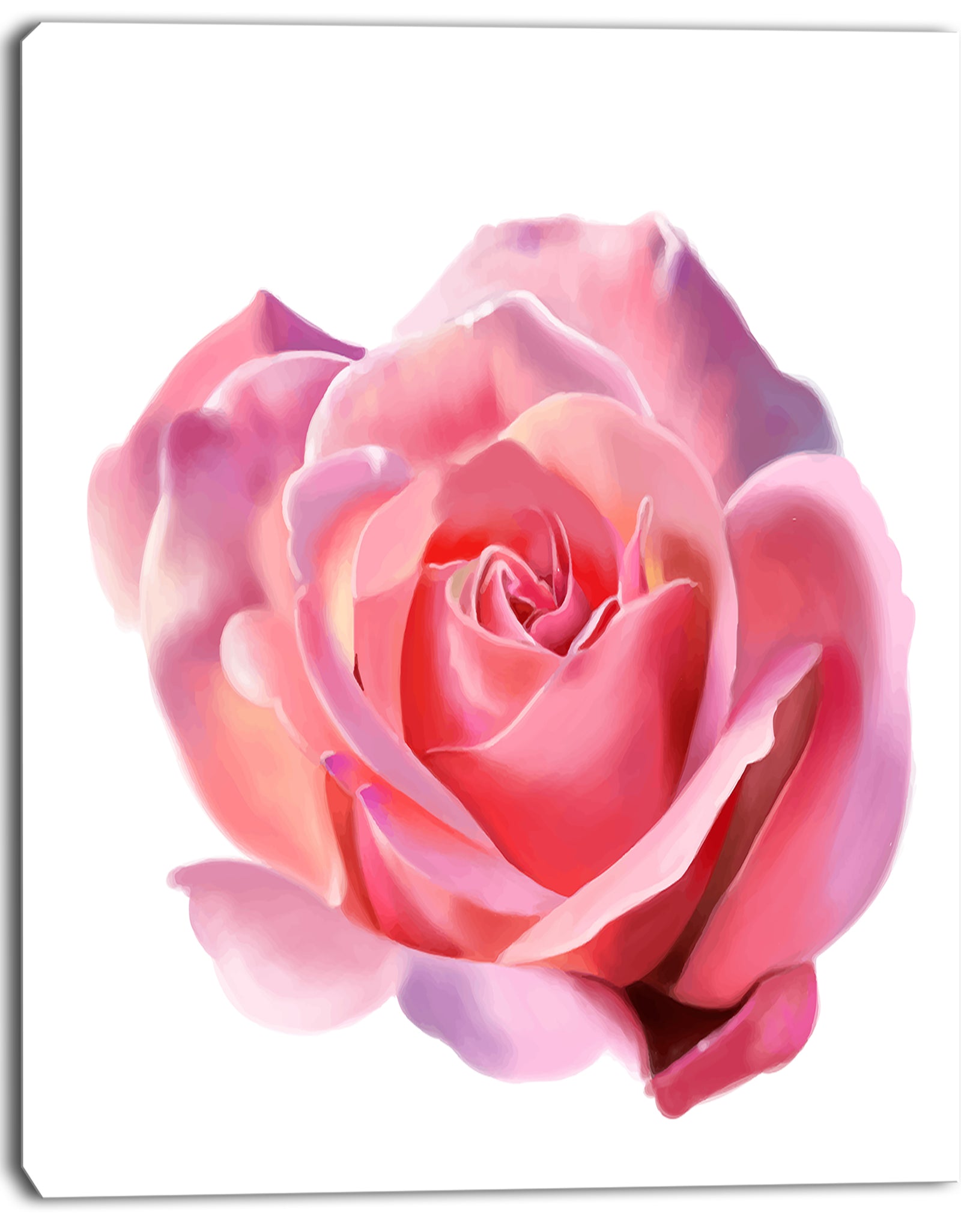 Pink Rose Sketch on White Background - Flowers Canvas Wall Artwork