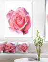 Pink Rose Sketch on White Background - Flowers Canvas Wall Artwork