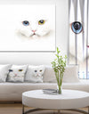 Portrait of Cute White Kitten - Large Animal Canvas Artwork