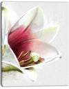 Beautiful Lily Flower Watercolor - Flowers Canvas Wall Artwork