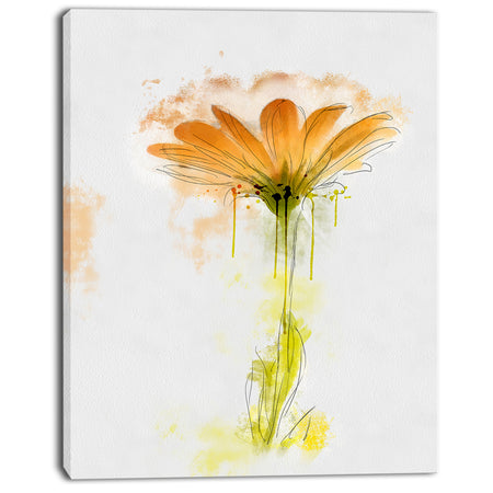 Orange Gerbera Sketch Watercolor - Flowers Canvas Wall Artwork