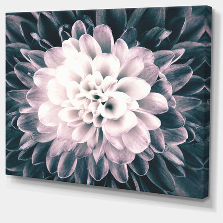 Macro Chrysanthemum Flower - Flowers Canvas Wall Artwork