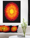 Everlasting Straw Flower on Black - Flowers Canvas Wall Artwork