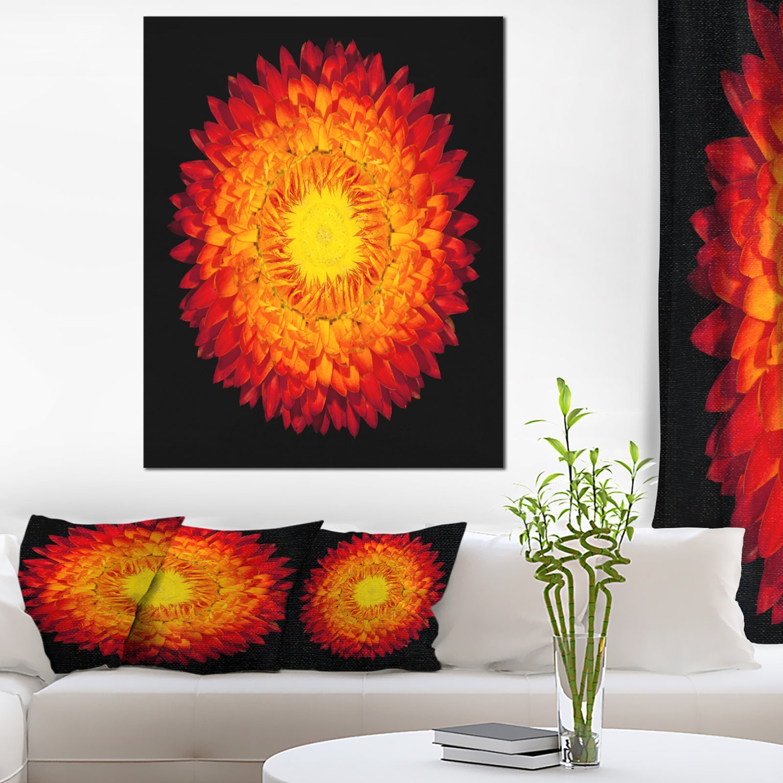 Everlasting Straw Flower on Black - Flowers Canvas Wall Artwork