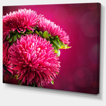 Pink Flowers of Asters on Red - Flowers Canvas Wall Artwork
