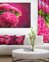 Pink Flowers of Asters on Red - Flowers Canvas Wall Artwork