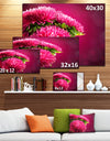 Pink Flowers of Asters on Red - Flowers Canvas Wall Artwork