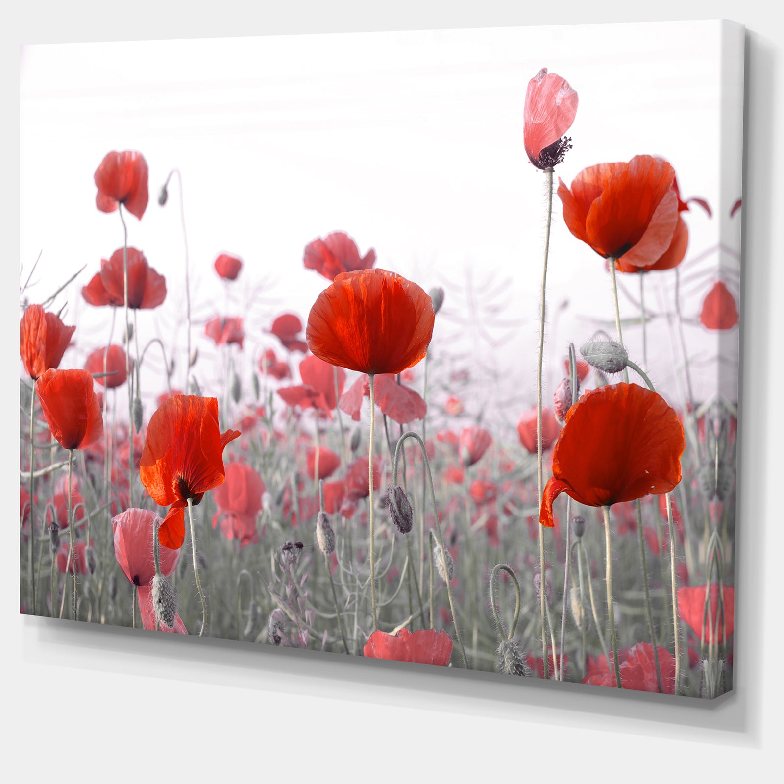 Amazing Red Poppy Flower Garden - Flower Artwork on Canvas