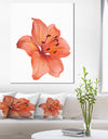 Beautiful Red Lily Watercolor Sketch - Flower Artwork on Canvas