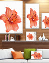 Beautiful Red Lily Watercolor Sketch - Flower Artwork on Canvas