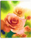 Beautiful Watercolor Roses on Green - Flower Artwork on Canvas