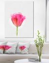 Bloomy Pink Tulip on White Drawing - Flower Artwork on Canvas