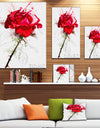 Rose Sketch with Stem on White - Flower Artwork on Canvas