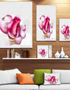 Pink Hand-drawn Red Rose on White - Flower Canvas Print Artwork