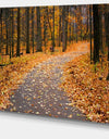 Autumn Walk Way with Fallen Leaves - Modern Forest Canvas Art