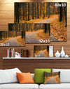 Autumn Walk Way with Fallen Leaves - Modern Forest Canvas Art