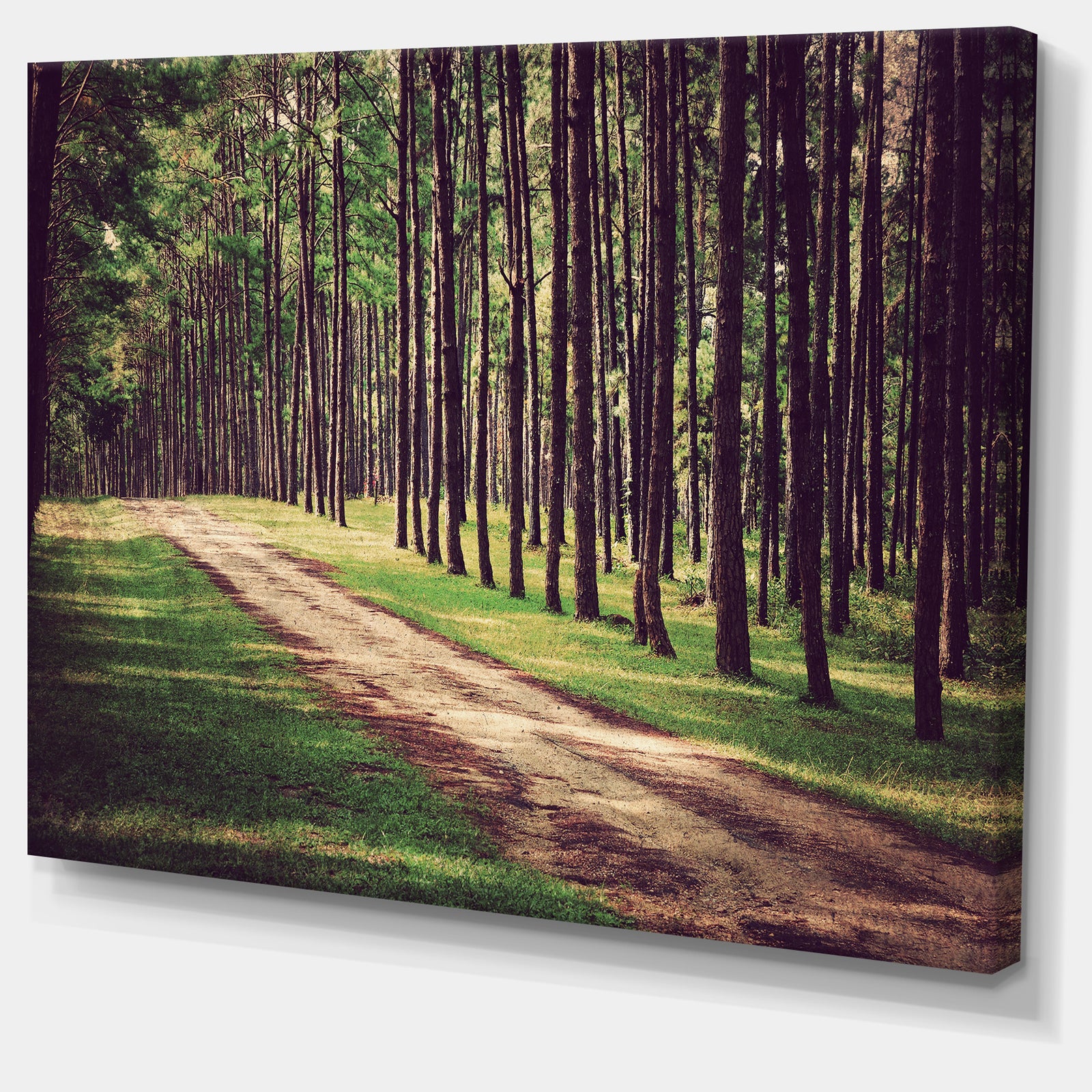 Vintage Style Forest with Pathway - Modern Forest Canvas Art