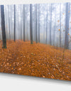 Foggy Forest and Fallen Leaves - Modern Forest Canvas Art