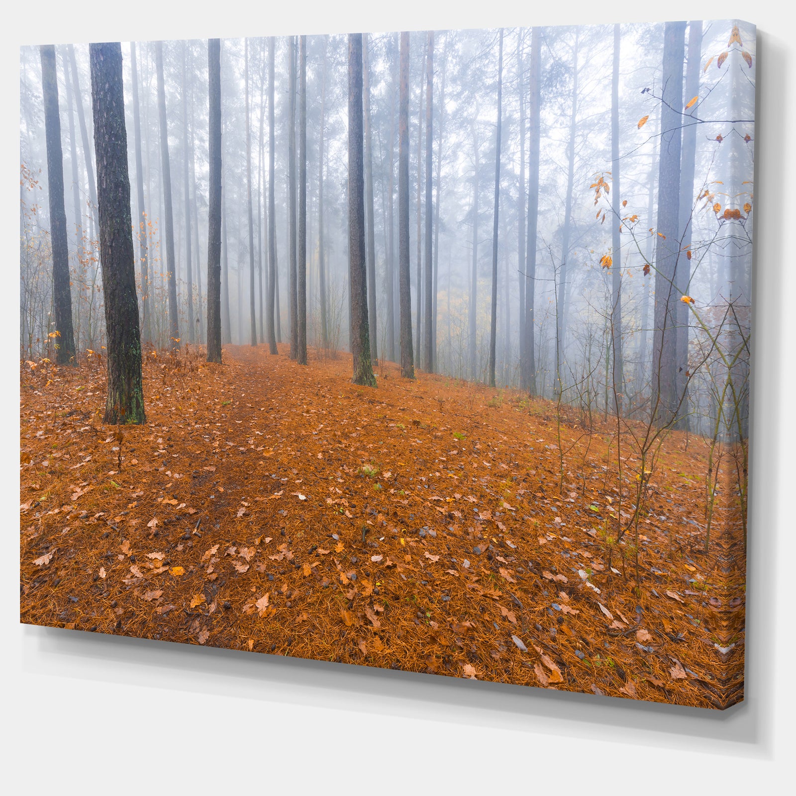 Foggy Forest and Fallen Leaves - Modern Forest Canvas Art