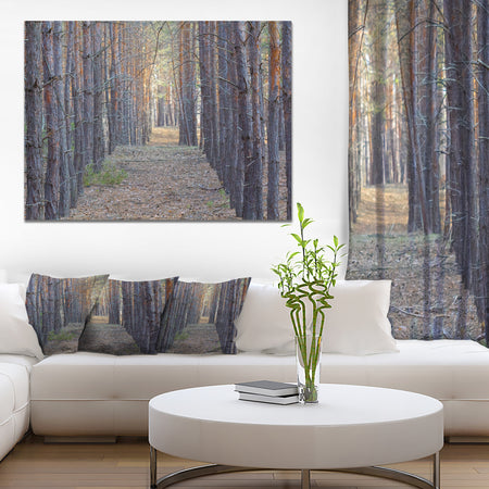 Slender Pine Tree Forest Photography - Modern Forest Canvas Art