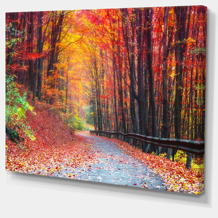 Road in Beautiful Autumn Forest - Modern Forest Canvas Art