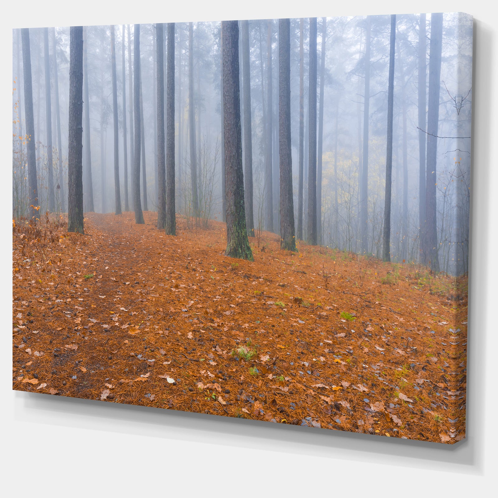 Foggy Dense Forest in autumn - Modern Forest Canvas Art
