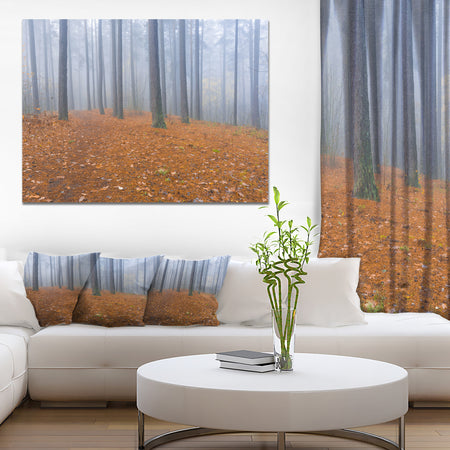 Foggy Dense Forest in autumn - Modern Forest Canvas Art