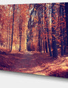 Thick Woods in Colorful Fall Forest - Modern Forest Canvas Art