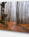 Road Covered by Fallen Leaves - Modern Forest Canvas Art