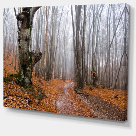 Road Covered by Fallen Leaves - Modern Forest Canvas Art