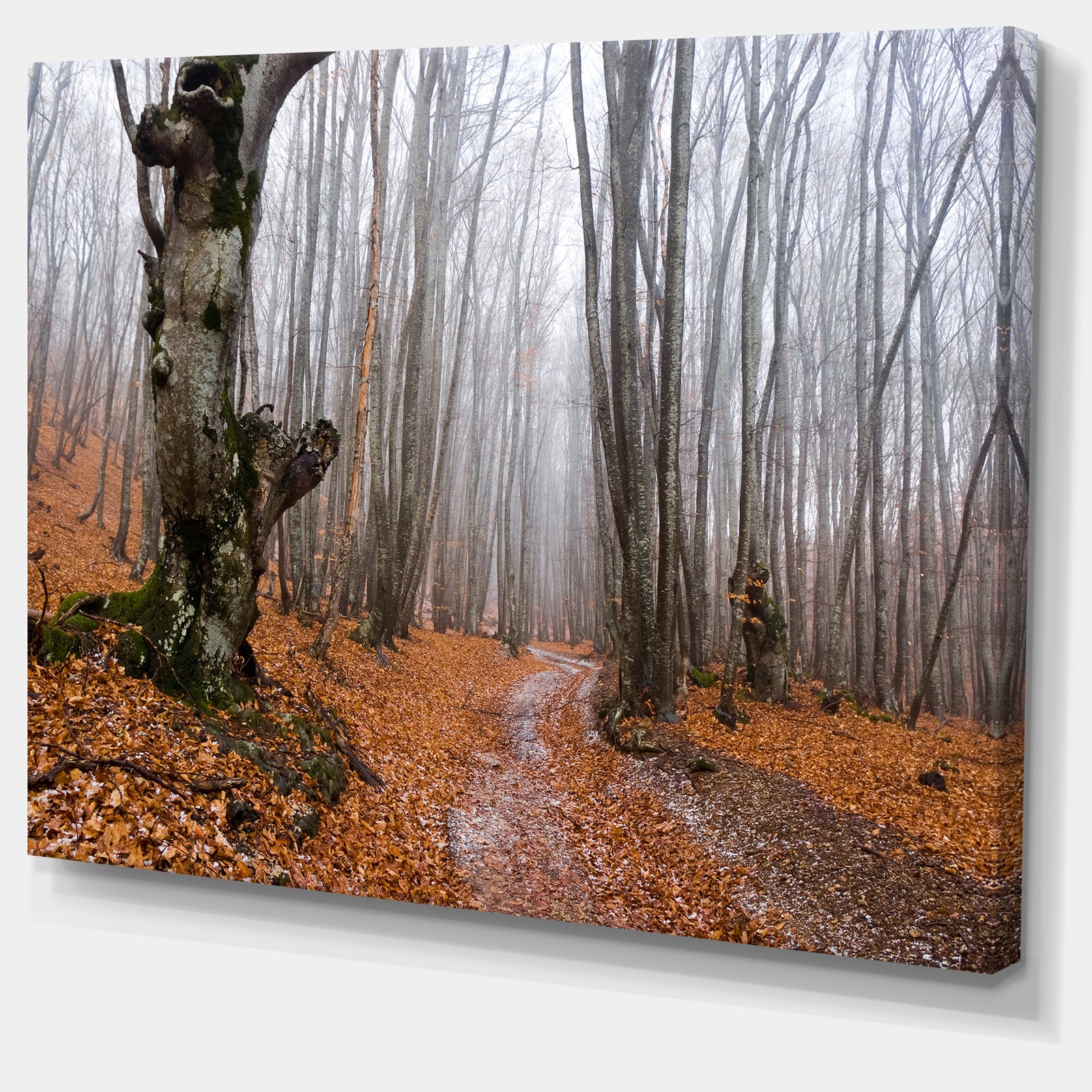 Road Covered by Fallen Leaves - Modern Forest Canvas Art