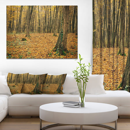 Beautiful Autumn Forest in Mountains - Modern Forest Canvas Art