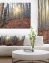 Setting Sun in Dense Fall Forest - Modern Forest Canvas Art