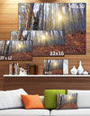 Setting Sun in Dense Fall Forest - Modern Forest Canvas Art