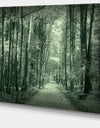 Road in Dark Autumn Forest - Modern Forest Canvas Art