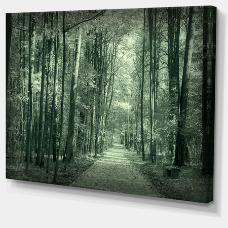 Road in Dark Autumn Forest - Modern Forest Canvas Art