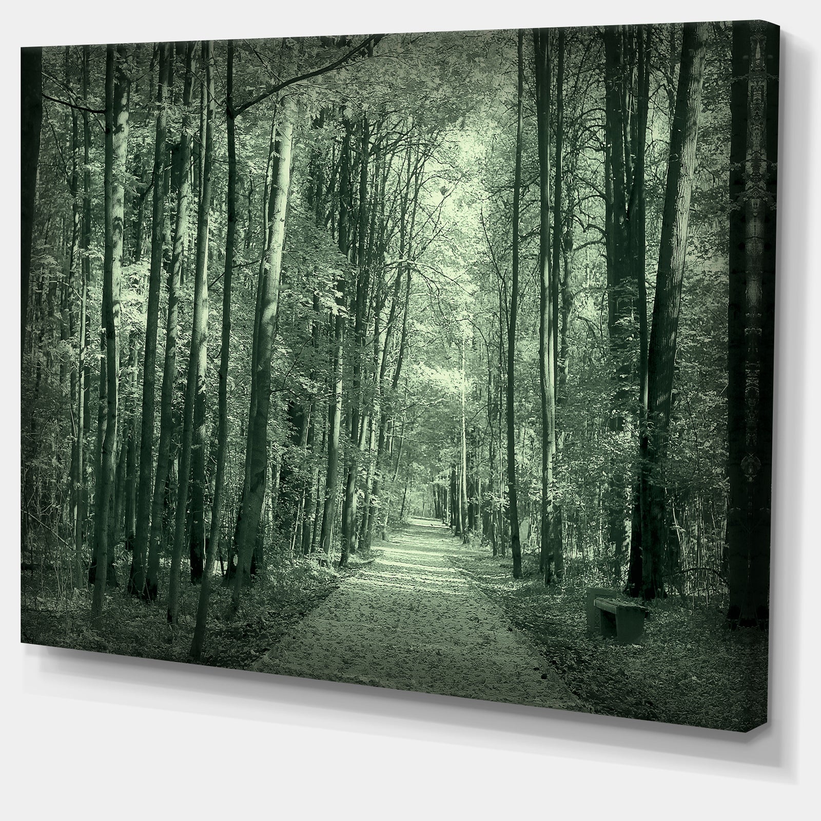 Road in Dark Autumn Forest - Modern Forest Canvas Art