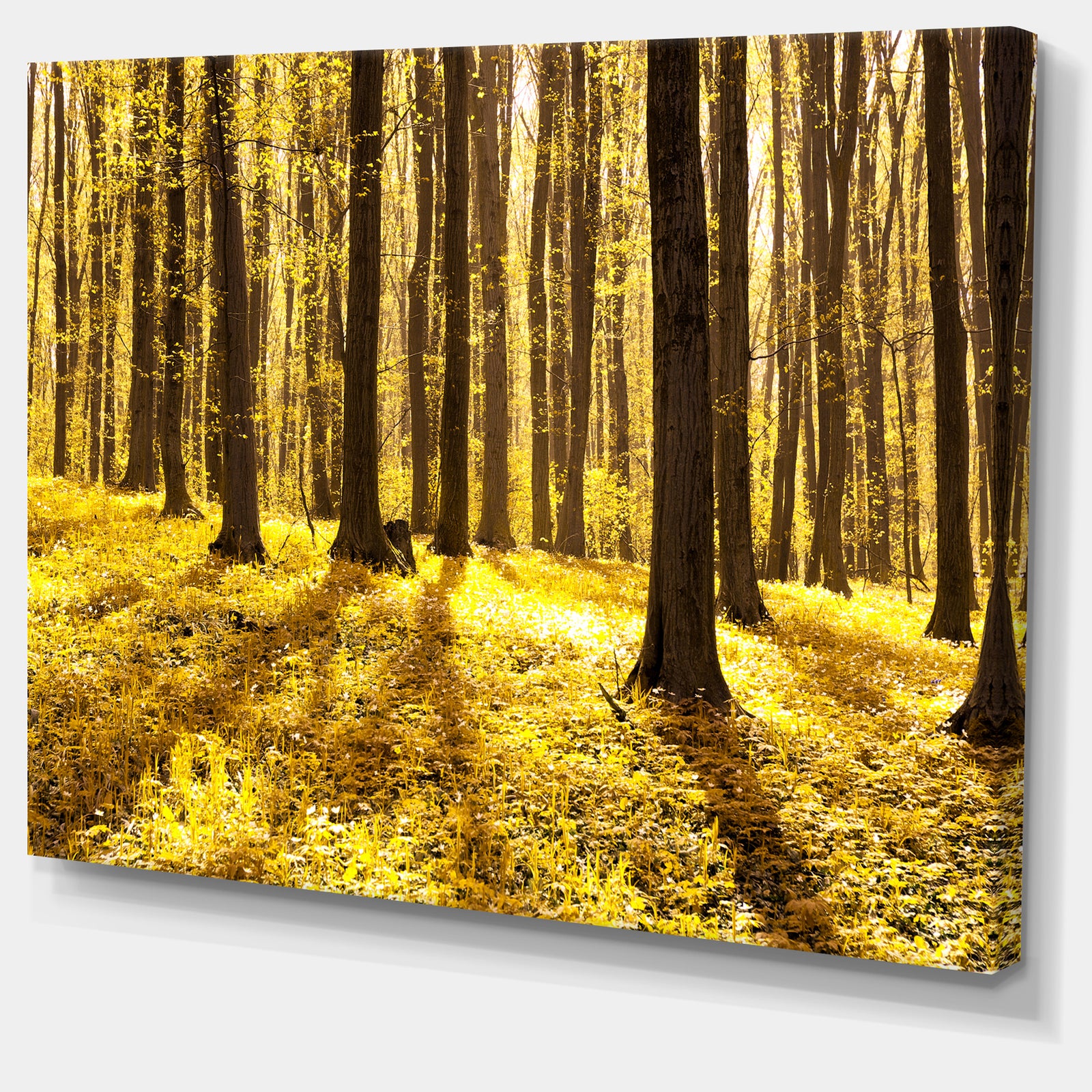 Bright Green Forest at Sunset - Modern Forest Canvas Art