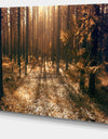 Dark First Snow Forest Photo - Modern Forest Canvas Art