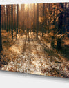Road in Dark Wooded Forest - Modern Forest Canvas Art
