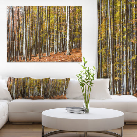 Bright Day in Thick Forest - Modern Forest Canvas Art