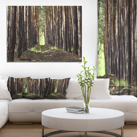 Even Rows of Pine Tree Forest - Modern Forest Canvas Art