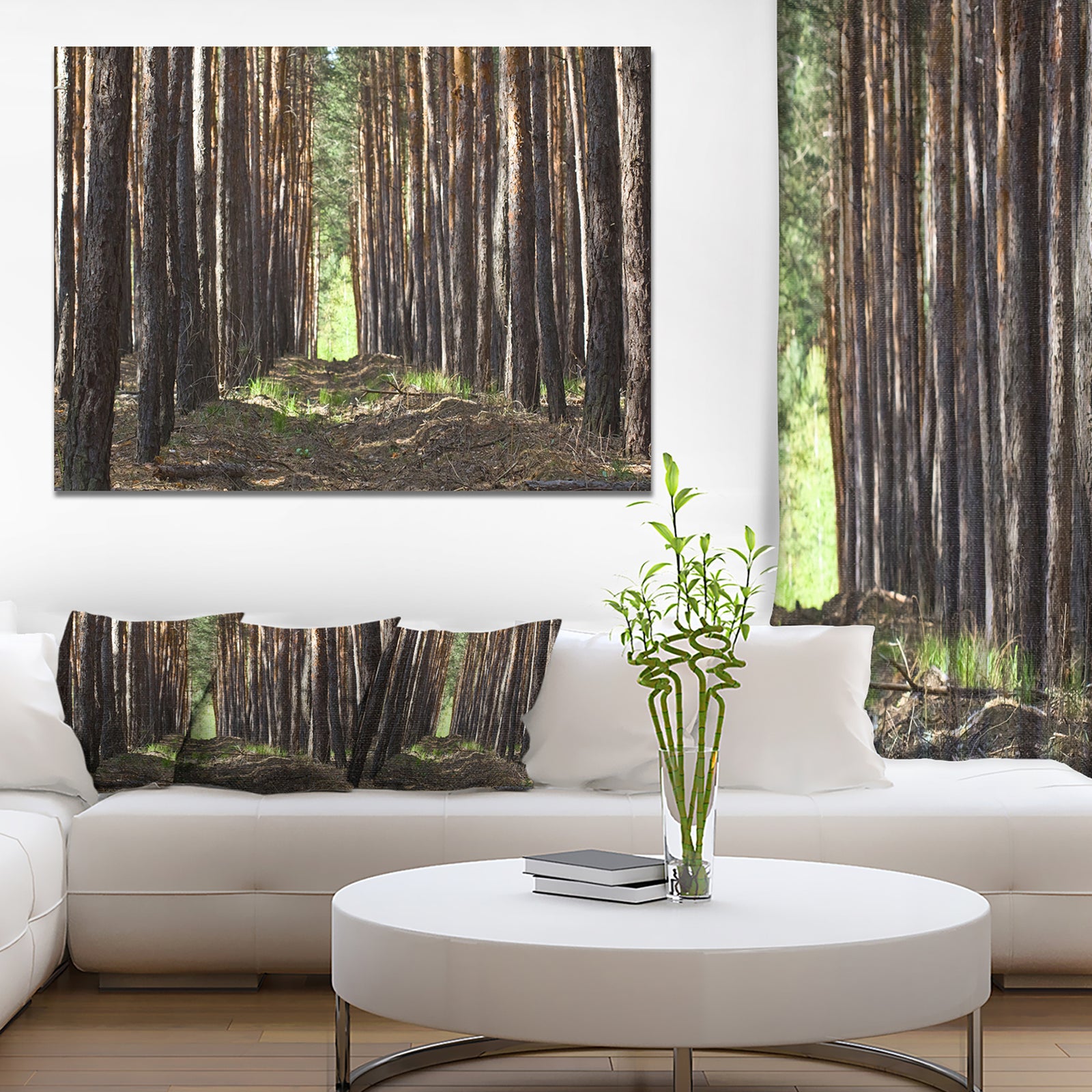Even Rows of Pine Tree Forest - Modern Forest Canvas Art