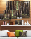 Even Rows of Pine Tree Forest - Modern Forest Canvas Art